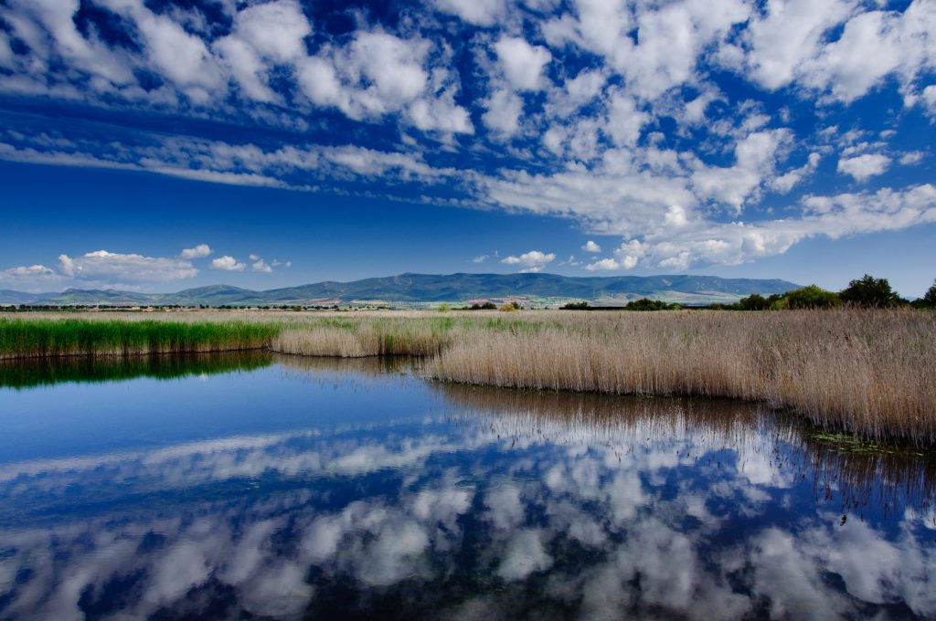 Ecoturismo - Las Tablas de Daimiel